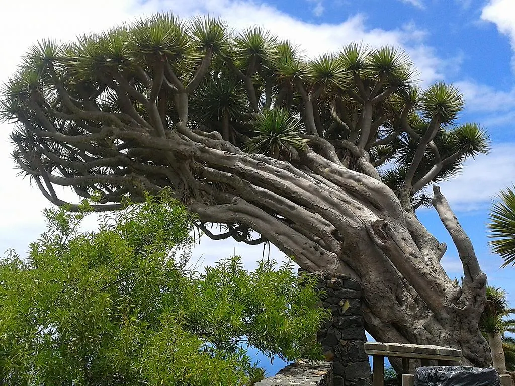 La Palmerita Vacacional Los Llanos De Aridane